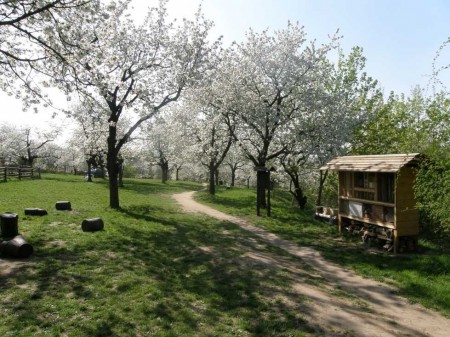 toulcuv-dvur-ekologicke-centrum-a-farma